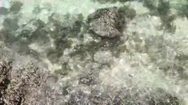 4K gerçek zamanlı video kaydı. Sıcak ve güneşli bir öğleden sonra kumsalda açık deniz dalgaları ve kayalar.