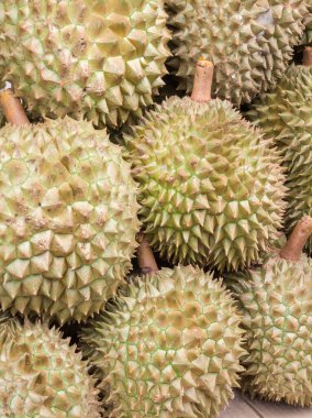 Durian veya Durio zibethinus yığınına yakın çekim. Popüler Güneydoğu Asya