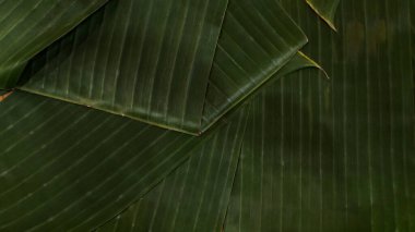 Muz, arka planda üst üste biner. Kırsal desen ambalajlama veya yerel tropikal atıştırmalıklar