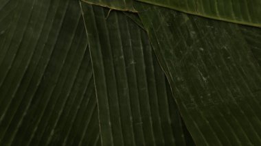 Muz, arka planda üst üste biner. Kırsal desen ambalajlama veya yerel tropikal atıştırmalıklar