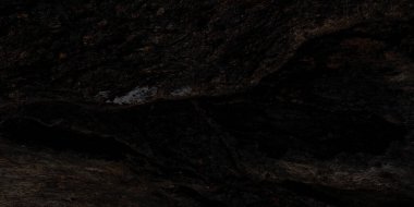 Eski ağaç kabuğunun detaylarına sahip koyu ahşap doku, arka planlar, çizimler veya doğal ve klasik tasarımlar için uygundur..