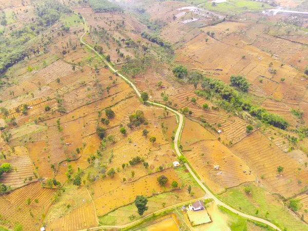 概要インドネシアのキカンプン地方の山岳地帯で生育する空中プランテーション フォーカスじゃない — ストック写真