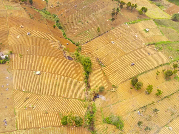 要旨赤外線背景Cikancung北部の山岳斜面に沿った農業分野の空中ビュー インドネシア フォーカスじゃない — ストック写真