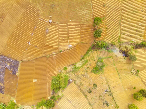 Abstract Defokussierter Verschwommener Hintergrund Luftaufnahme Landwirtschaftlicher Felder Berghängen Norden Cikancungs — Stockfoto