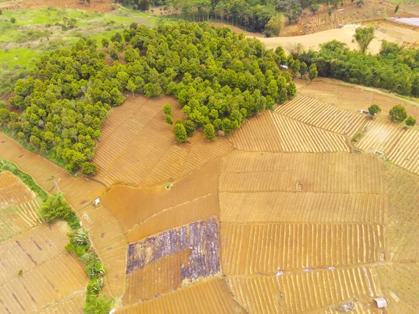 要旨赤外線背景Cikancung北部の山岳斜面に沿った農業分野の空中ビュー インドネシア フォーカスじゃない — ストック写真