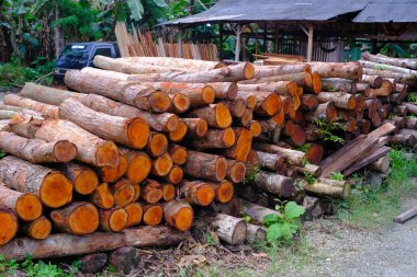 Endonezya 'nın Pangandaran bölgesinde soyut Odaklanmış Bulanık Arkaplan yığını. Odaklanma