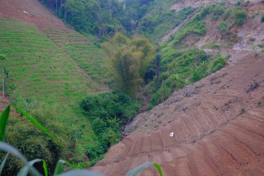 Endonezya 'nın Pangandaran bölgesine sebze ekilen bir tepeden gelen bulanık arka plan vadisi. Odaklanma