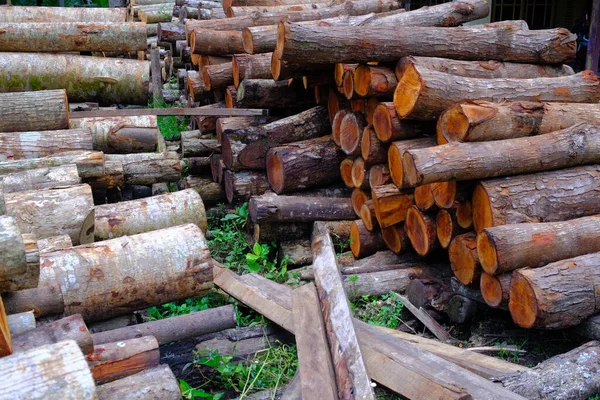 Abstract Defocused Blurred Background Pile Felled Wood Pangandaran Area Indonesia — Stock Photo, Image