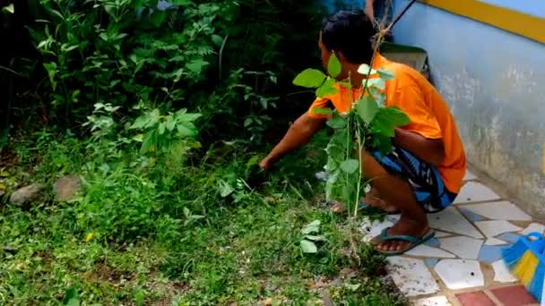 印度尼西亚西爪哇万隆 2023年3月10日 活动片段 一个男人在自家院子里打扫的录像 — 图库视频影像