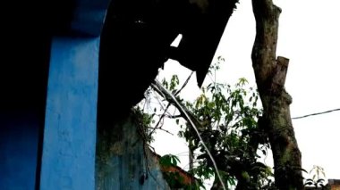 Water Flow Görüntüsü. Bandung, Endonezya 'daki çatı kiremidinin tepesinden akan su videosu