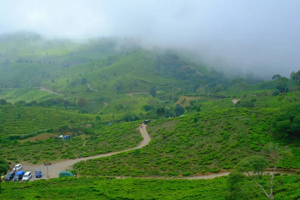 自然写真 霧の茶の丘の谷の風景ビュー 場所パンガレンガンの空の公園 バンドン地域の都市の郊外に インドネシア — ストック写真