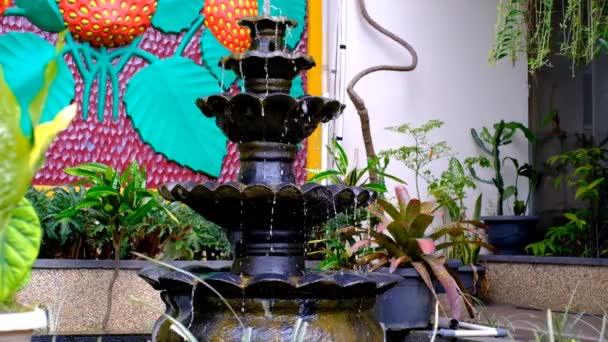 Кадры Водой Видео Водяным Фонтаном Пруду Районе Чикаленгка Индонезия — стоковое видео