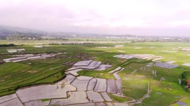Hava Çekimi. Bandung-Endonezya bölgesinde sabah erken saatlerde pirinç tarlalarının sinematik görüntüsü