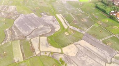 Hava Çekimi. Endonezya 'nın Bandung bölgesinde hasat mevsiminden sonra tarlaların hava manzarası