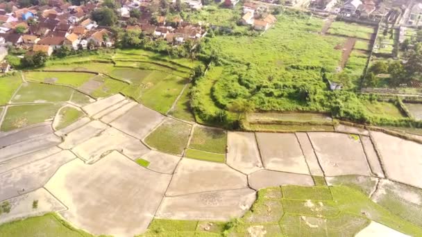 Luftaufnahmen Luftaufnahme Von Wohngebieten Rund Landwirtschaftliche Felder Der Region Bandung — Stockvideo