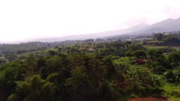 Luftaufnahmen Luftaufnahme Eines Großen Grundstücks Und Plantagen Den Hängen Eines — Stockvideo
