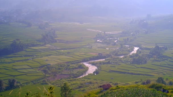 Запись Долины Покрытой Туманом Бандунг Индонезия Высококачественные Кадры — стоковое видео