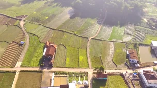 Images Aériennes Vidéo Vue Panoramique Route Campagne Long Montagne Remplie — Video
