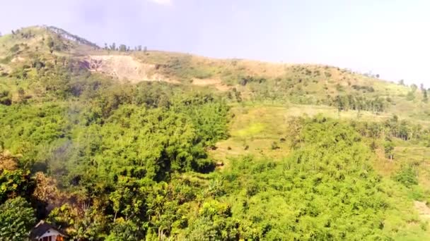 Drone Footage Aerial Morning View Forest Hillside Outskirts Bandung High — Stock Video