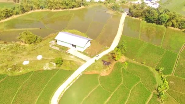 Nagranie Drona Nagranie Drona Orbity Białego Magazynu Środku Pola Rolniczego — Wideo stockowe