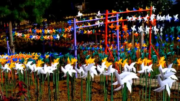 공원에서 다채로운 비디오 공원을 고품질 동영상 — 비디오