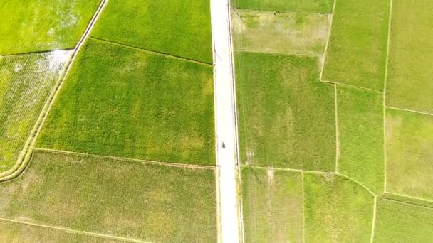 Filmiki Lotnicze Aerial Drone Nagranie Krajobraz Widok Wiejskiej Drogi Która — Wideo stockowe