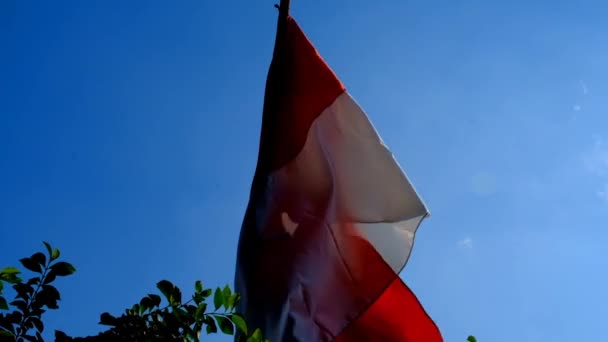 印度尼西亚国旗在风中飘扬 印度尼西亚国旗在美丽的风景上迎风飘扬 蓝天4K Hd图象 印度尼西亚国旗视频镜头 — 图库视频影像