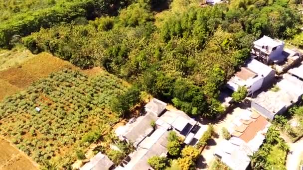 Videos Aéreos Drones Vista Del Pintoresco Barrio Residencial Cima Una — Vídeos de Stock