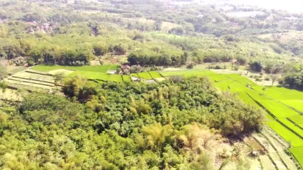 城市郊区的大片稻田 阳光明媚 山景尽收眼底 旱季从农田无人机俯瞰的空中景观 印度尼西亚万隆市郊 4K影像 — 图库视频影像