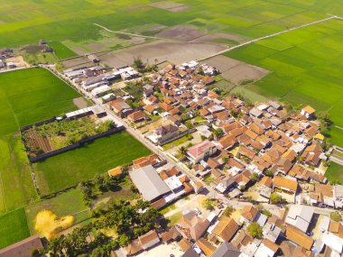 Hava Fotoğrafçılığı. Gunung Pangradinan, Cikancung - Bandung, Endonezya 'daki pirinç tarlalarının yerleşim bölgesi manzarası. İkamet bölgesi manzarası 