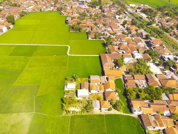 Aerial Photography. Aerial Drone view of landscape view of residential district on the edge of rice fields in Gunung Pangradinan, Cikancung - Bandung, Indonesia. View of the residential district