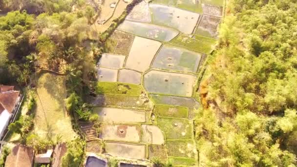 Filmati Della Campagna Aerea Drone Vista Del Paesaggio Delle Zone — Video Stock