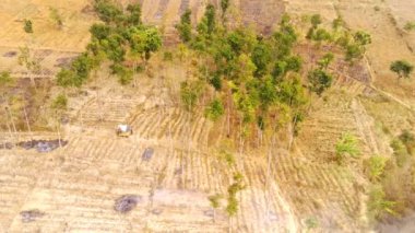 Drone Görüntüleri. Pangradinan Dağı, Cikancung - Bandung, Endonezya 'nın yamaçlarında yanan orman manzarası. Tarım tarlaları için yanan orman arazisi. Yüksek Kalite 4k Video