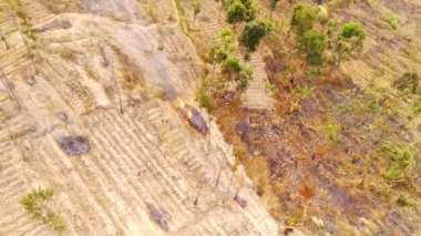 Drone Görüntüleri. Pangradinan Dağı, Cikancung - Bandung, Endonezya 'nın yamaçlarında yanan orman manzarası. Tarım tarlaları için yanan orman arazisi. Yüksek Kalite 4k Video