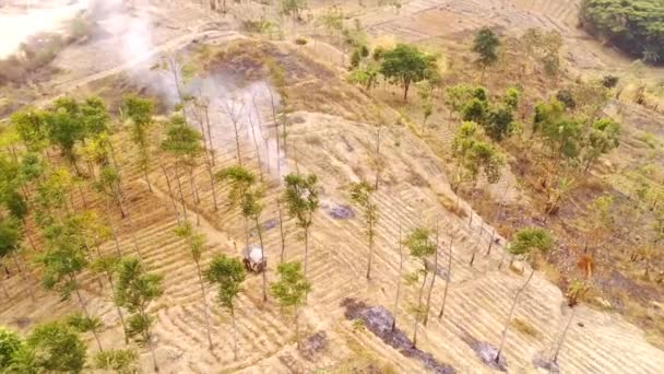 Filmagem Drones Vista Aérea Vídeo Queima Terras Florestais Nas Encostas — Vídeo de Stock