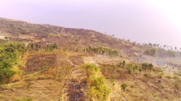 Drohnenaufnahmen Luftaufnahme Von Brennendem Waldland Den Hängen Des Mount Pangradinan — Stockvideo