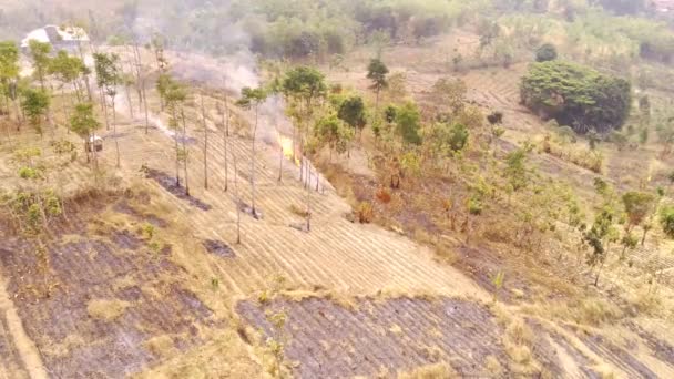 无人机的图像 印度尼西亚锡坎松 万隆Pangradinan山山坡上燃烧林地的空中视频图像 为农田焚烧林地 优质4K影片 — 图库视频影像
