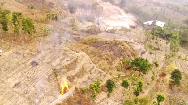 Drone Footage Aerial Video View Burning Forest Land Slopes Mount — Stock Video