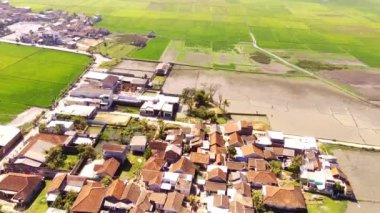 Drone Görüntüleri. Bandung-Endonezya 'daki Pangradinan Dağı vadisinde geniş pirinç tarlalarının ortasındaki Residential bölgesinin en aşağı manzarası. 4K Çözünürlüklü Hava Aracı Videoları