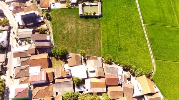 Drohnenaufnahmen Blick Von Oben Auf Den Wohnbezirk Inmitten Weitläufiger Reisfelder — Stockvideo