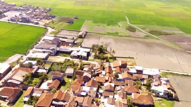 Drohnenaufnahmen Blick Von Oben Auf Den Wohnbezirk Inmitten Weitläufiger Reisfelder — Stockvideo