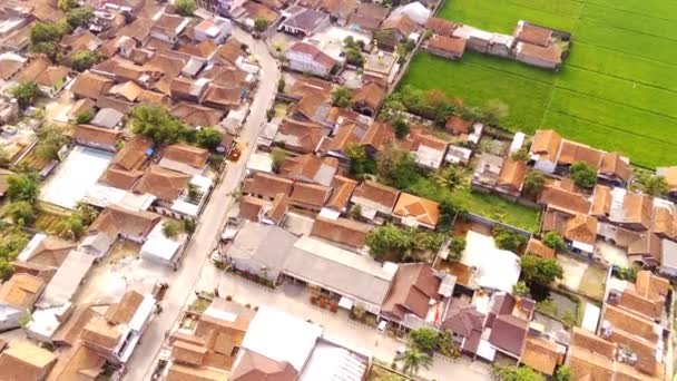 Hava Çekimi Bandung Endonezya Nın Geniş Pirinç Tarlalarının Kıyısındaki Yoğun — Stok video