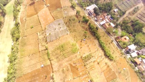 Drönarvideo Flygbilder Utsikt Över Bergstoppslandskapet Staden Bandung Fylld Med Planteringsfält — Stockvideo