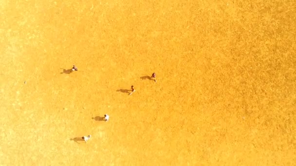 Filmati Sportivi Paesaggi Aerei Drone Video Bambini Che Corrono Giro — Video Stock