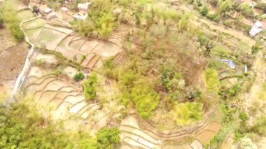 Büyüleyici görüntüler Batı Java 'nın pirinç tarlalarının büyüleyici güzelliğini yakalar, yemyeşil, yemyeşil manzarayı böler. 4K çözünürlüğündeki bir insansız hava aracından havadan ateş edildi..