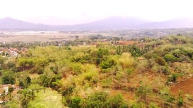 Video Dronlar. Hiper Lapse Görüntüleri. Orman ve ağaçların Hiper Hız Hızı Manzarası. Kasabanın kıyısındaki orman. Uçan bir drondan havadan ateş edilmiş. Bandung - Endonezya, Asya