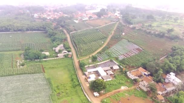 인도네시아 서자바 시자파티의 분야의 언덕에있는 농장의 풍경보기 해상도로 200 드론에서 — 비디오