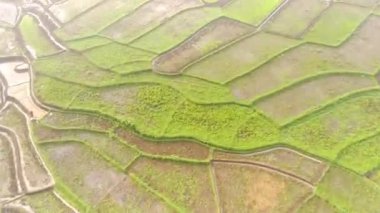 Hiper Lapse Görüntüleri. Batı Java Eyaleti, Endonezya 'daki pirinç tarlalarının soyut görüntüsü. Soyut teraslı pirinç tarlası dokusu. 4K 30fps çözünürlüklü İHA 'dan video görüntüsü