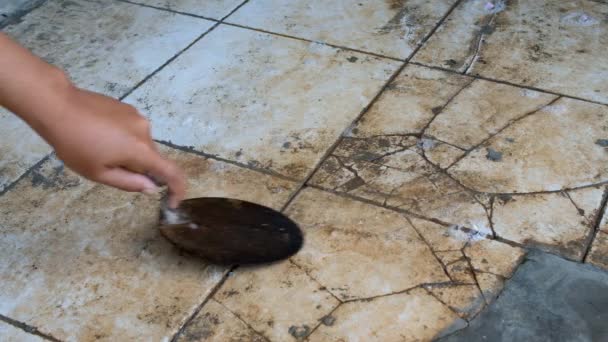 産業用フッテージ 床にセメントの汚れをスクラップする手のビデオ 労働者がスパチュラを使って床をスクラップしています 4Kリゾリューションで撮影 Fps — ストック動画