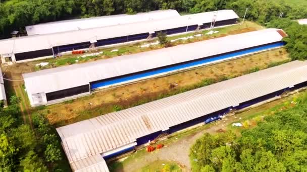 コーンの貯蔵および処理の倉庫の映像 木やプランテーションの拡大の中央にある倉庫の空中観察 アリアルビデオ 食品産業について ドローン フッテージ Fpsで撮影する — ストック動画
